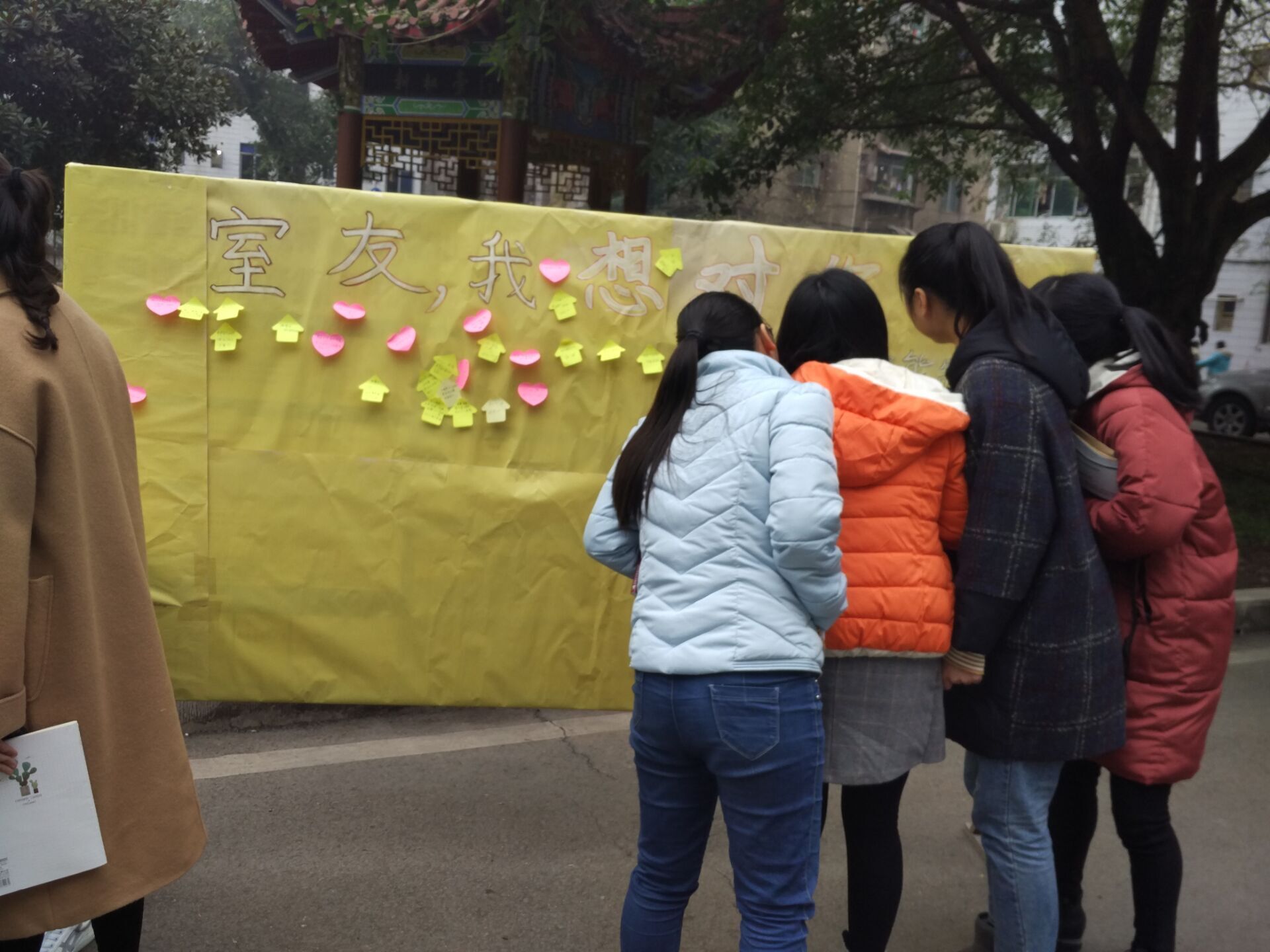 1545211275115015.jpg 1545211275115015.jpg